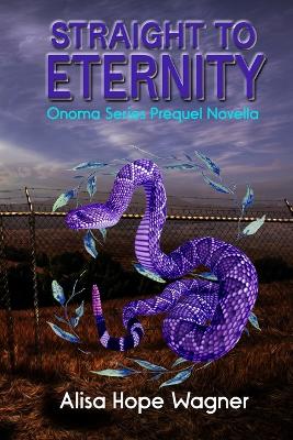 Book cover for Straight to Eternity