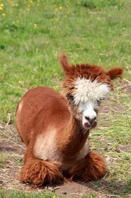 Book cover for Cute Baby Llama in the Grass Journal