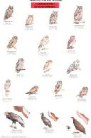 Cover of Mac's Field Guides: North American Birds of Prey