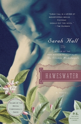 Book cover for Haweswater