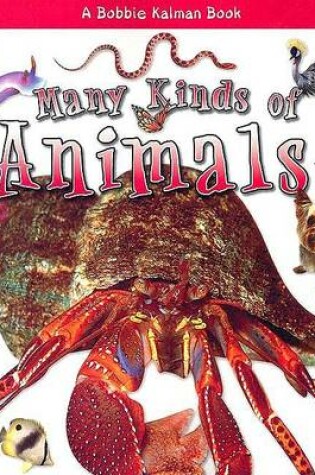 Cover of Many Kinds of Animals