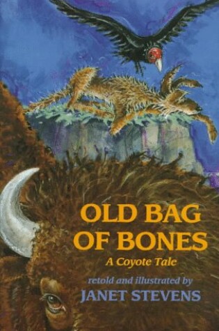 Cover of Old Bag of Bones