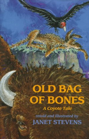 Book cover for Old Bag of Bones