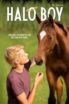 Book cover for Halo Boy