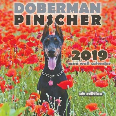 Book cover for Doberman Pinscher 2019 Mini Wall Calendar (UK Edition)