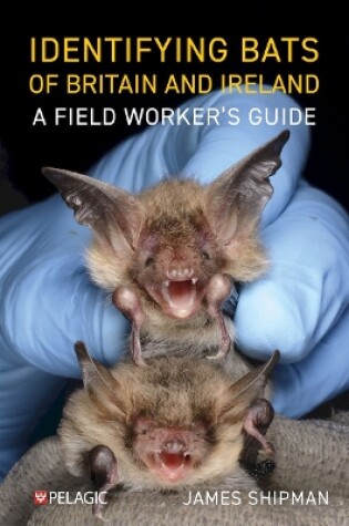 Cover of Identifying Bats of Britain and Ireland