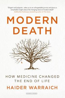 Book cover for Modern Death