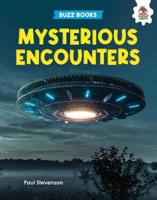 Cover of Mysterious Encounters