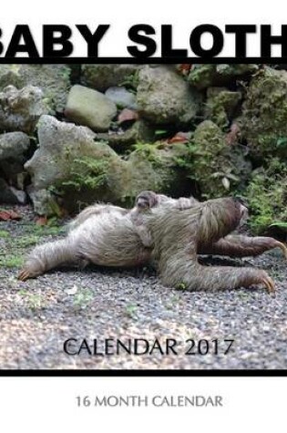 Cover of Baby Sloth Calendar 2017