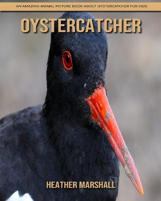 Book cover for Oystercatcher