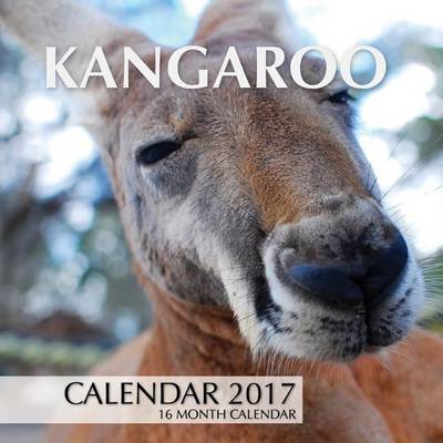 Book cover for Kangaroo Calendar 2017