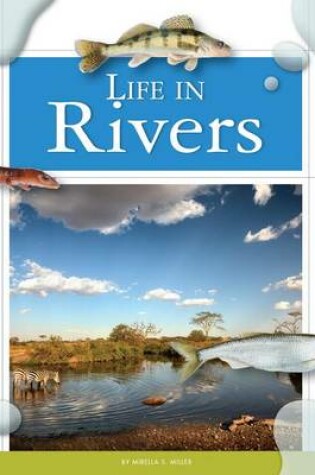 Cover of Life in Rivers