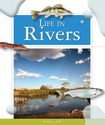 Book cover for Life in Rivers