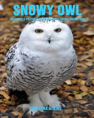 Book cover for Snowy Owl