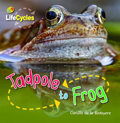 Book cover for Tadpole to Frog