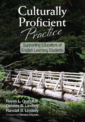 Book cover for Culturally Proficient Practice