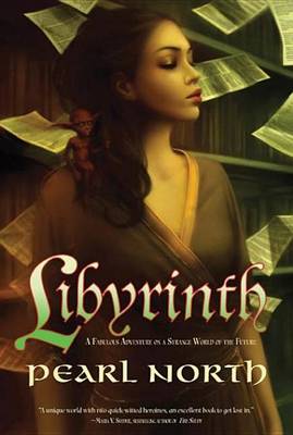 Book cover for Libyrinth