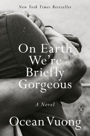 Cover of On Earth We're Briefly Gorgeous