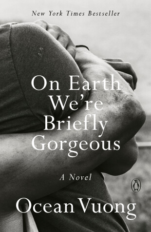 Book cover for On Earth We're Briefly Gorgeous