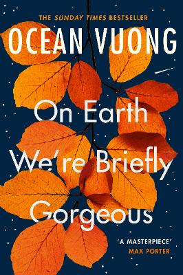 Book cover for On Earth We're Briefly Gorgeous