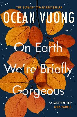 Book cover for On Earth We're Briefly Gorgeous