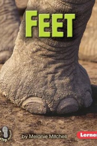 Cover of Feet