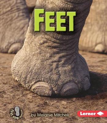 Book cover for Feet