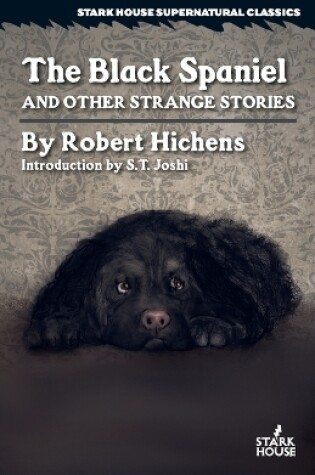 Cover of The Black Spaniel and Other Strange Stories