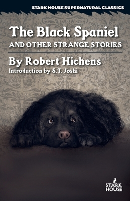 Book cover for The Black Spaniel and Other Strange Stories