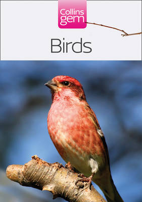 Book cover for Birds