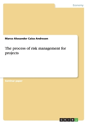 Book cover for The process of risk management for projects