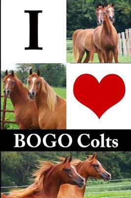 Book cover for I Love BOGO Colts Journal