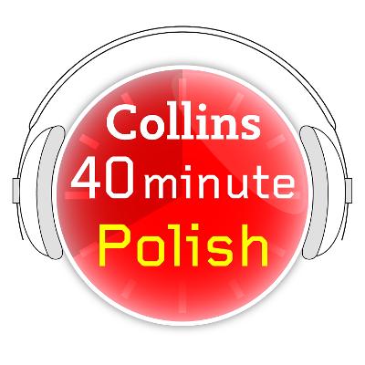 Book cover for 40 MInute Polish