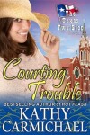 Book cover for Courting Trouble