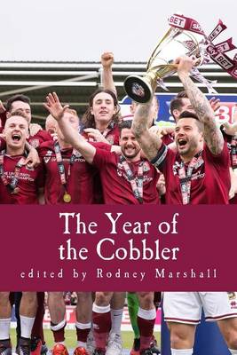 Book cover for The Year of the Cobbler