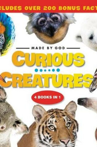 Cover of Curious Creatures