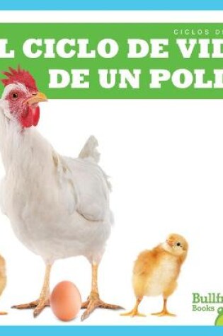 Cover of El Ciclo de Vida de Un Pollo (a Chicken's Life Cycle)