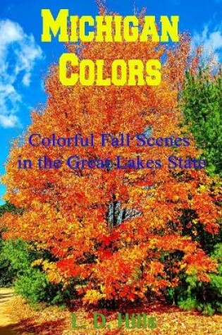 Cover of Michigan Colors