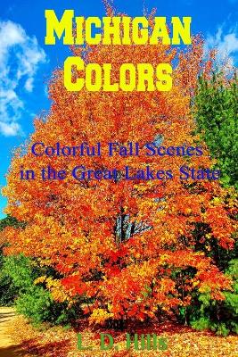 Book cover for Michigan Colors