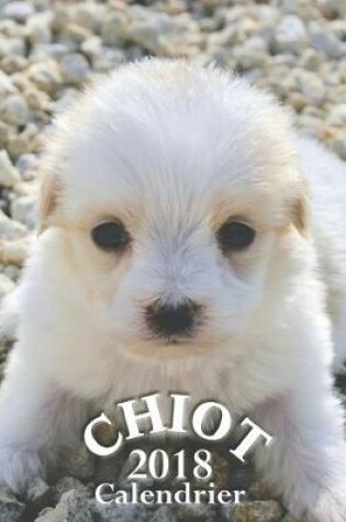 Cover of Chiot 2018 Calendrier (Edition France)