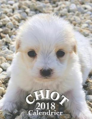 Book cover for Chiot 2018 Calendrier (Edition France)