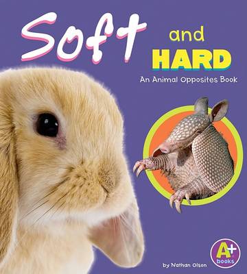 Book cover for Soft and Hard