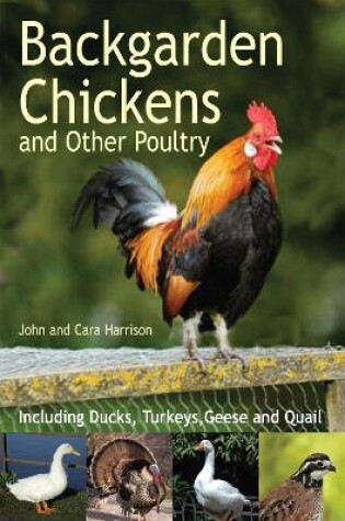 Cover of Backgarden Chickens and Other Poultry