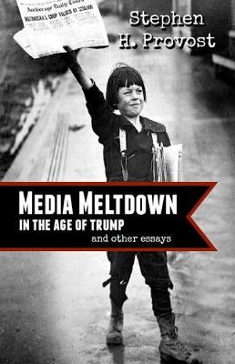 Book cover for Media Meltdown