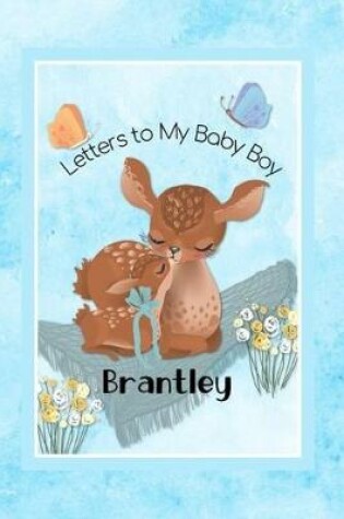 Cover of Brantley Letters to My Baby Boy