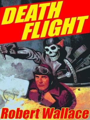 Book cover for Death Flight