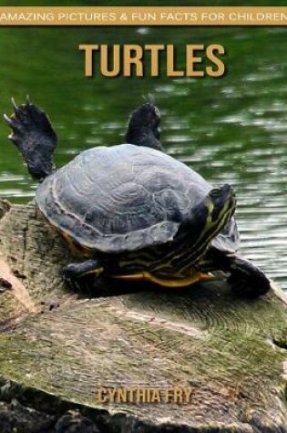 Cover of Turtles