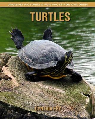 Book cover for Turtles