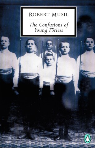 Cover of The Confusions of Young Torless