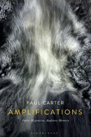 Cover of Amplifications